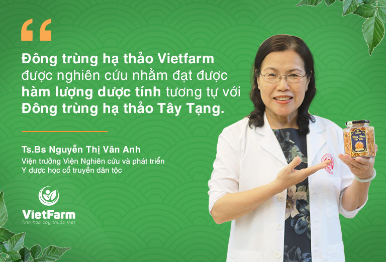 bác sĩ Vân Anh nhận xét đông trùng hạ thảo Vietfarm