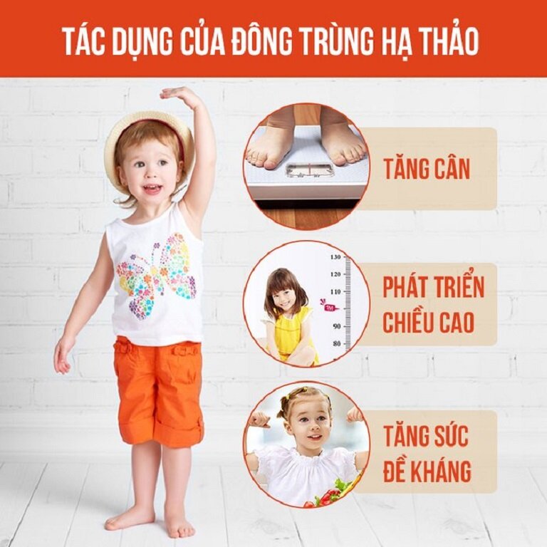 Tác dụng của đông trùng hạ thảo với trẻ em là rất tốt