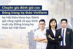 Đông trùng hạ thảo Vietfarm