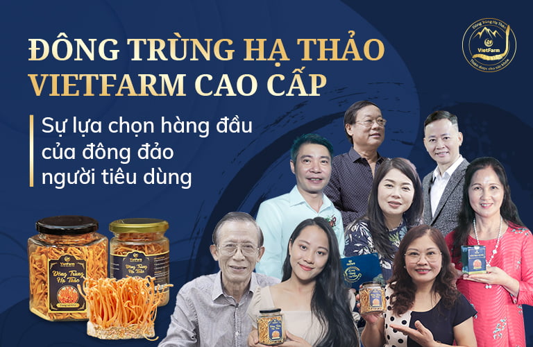 Các nghệ sĩ nổi tiếng như NS Công Lý, NS Phú Thăng, NS Thanh Hiền, NS Kim Xuyến,… sử dụng ĐTHT Vietfarm