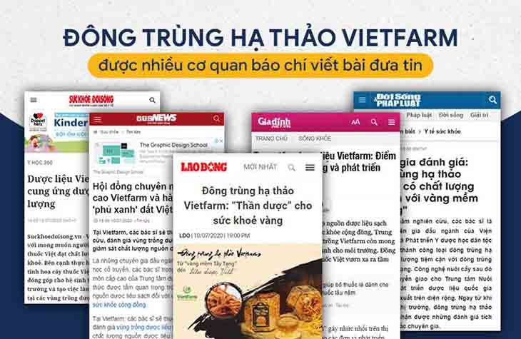 Báo chi đưa tin về Đông trùng hạ thảo Vietfarm