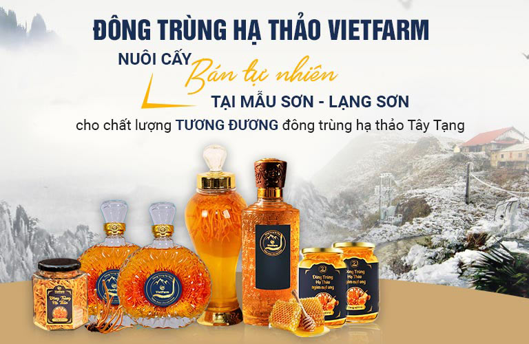 Vùng nuôi trồng đông trùng hạ thảo bán tự nhiên Vietfarm tại núi Mẫu Sơn – Lạng Sơn