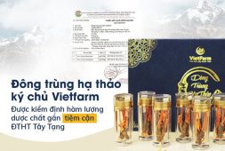 Đông trùng hạ thảo ký chủ Vietfarm sở hữu hàm lượng hoạt chất tối ưu