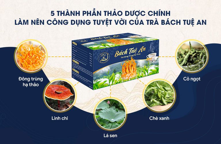 Những thành phần chính của Trà Bách Tuệ An