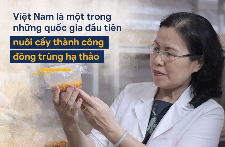 Từ cơ duyên biết đến đông trùng hạ thảo Tiến sĩ Vân Anh đã quyết tâm nuôi cấy loại dược liệu này tại Việt Nam