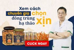 dong-trung-ha-thao-vietfarm-thumb-2