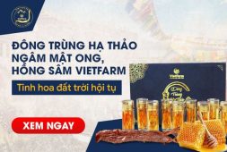 dong-trung-ha-thao-vietfarm-thumb-6