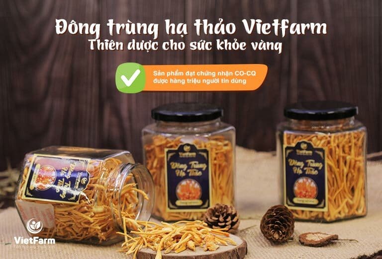 Đông trùng hạ thảo món quà sức khỏe dành tặng mẹ