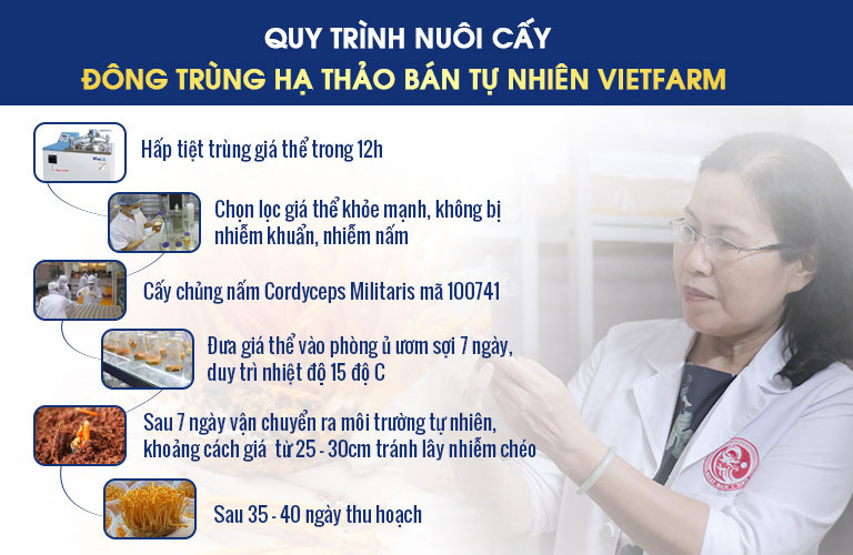 quy trình nuôi cấy