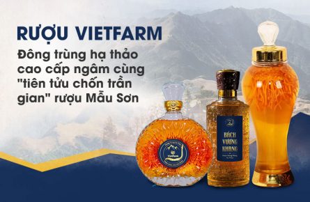 7 lý do khẳng định rượu đông trùng hạ thảo Vietfarm là sản phẩm chất lượng hàng đầu hiện nay 