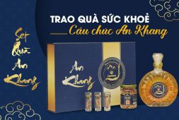 Set quà An Khang Đông trùng hạ thảo Vietfarm - Trao quà sức khỏe cầu chúc an khang thịnh vượng