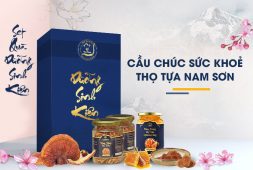 Set quà Dưỡng Sinh Kiện từ Đông trùng hạ thảo Vietfarm - Thay bạn chăm sóc sức khoẻ người thân yêu nhất