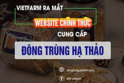 website-dong-trung