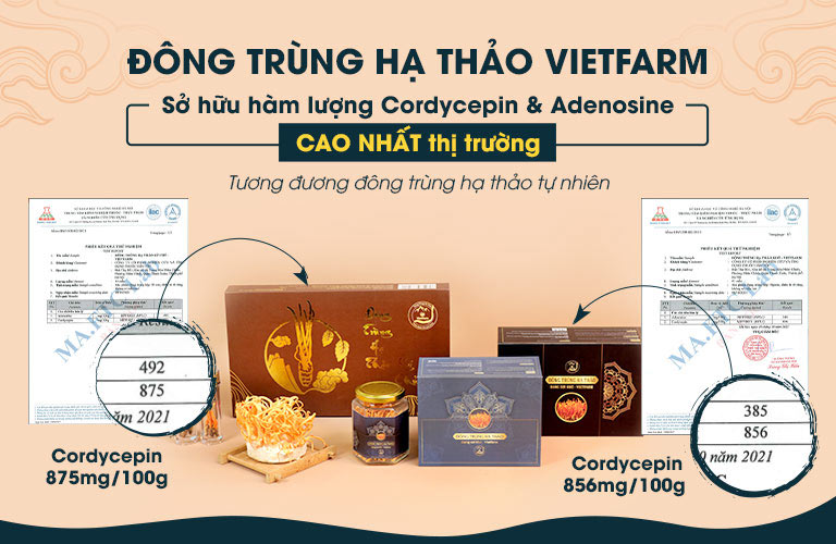 Kiểm định hàm lượng dưỡng chất của Đông trùng hạ thảo Vietfarm