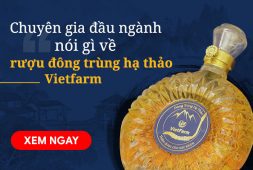 Chuyên gia đầu ngành nói gì về rượu đông trùng hạ thảo Vietfarm?