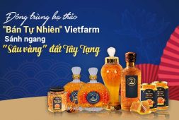 Đông trùng hạ thảo Vietfarm sánh ngang "sâu vàng Tây Tạng", giá thành song hành chất lượng