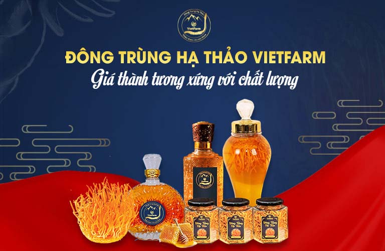 Đông trùng hạ thảo Vietfarm cam kết giá thành tương xứng chất lượng