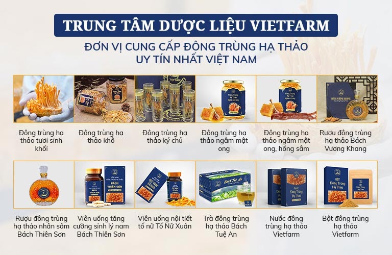 Các sản phẩm của Đông trùng hạ thảo Vietfarm đang cung cấp