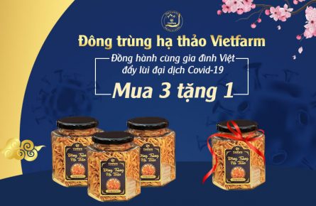 Đông trùng hạ thảo Vietfarm - "Bảo bối" trước tiêm vắc xin, đẩy lùi dịch Covid-19 của gia đình Việt được chuyên gia đầu ngành khuyên dùng 