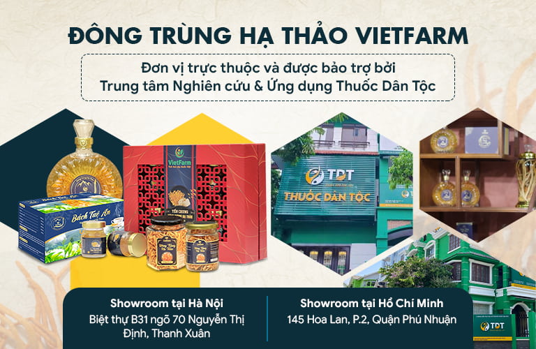 Đông trùng hạ thảo Vietfarm được bảo trợ bởi đơn vị uy tín Thuốc Dân Tộc