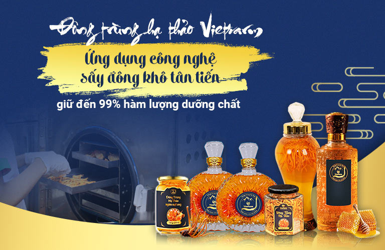 Đông trùng hạ thảo sấy đông khô Vietfarm giữ 99% hàm lượng dưỡng chất 