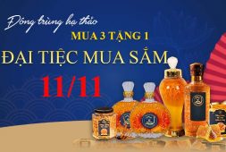 Đông trùng hạ thảo Vietfarm dành tặng chương trình tri ân nhân ngày 11/11