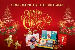 Đông trùng hạ thảo Vietfarm chúc mừng ngày Giáng sinh 