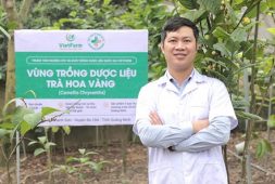 tra-hoa-vang-vietfarm-445-5