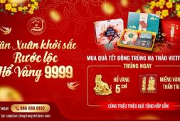 Chương trình tặng hổ vàng cùng rất nhiều phần quà hấp dẫn khác