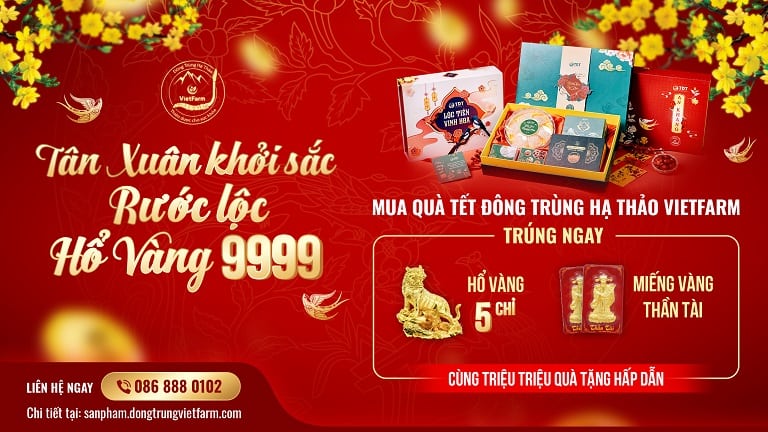 Chương trình tặng hổ vàng cùng rất nhiều phần quà hấp dẫn khác