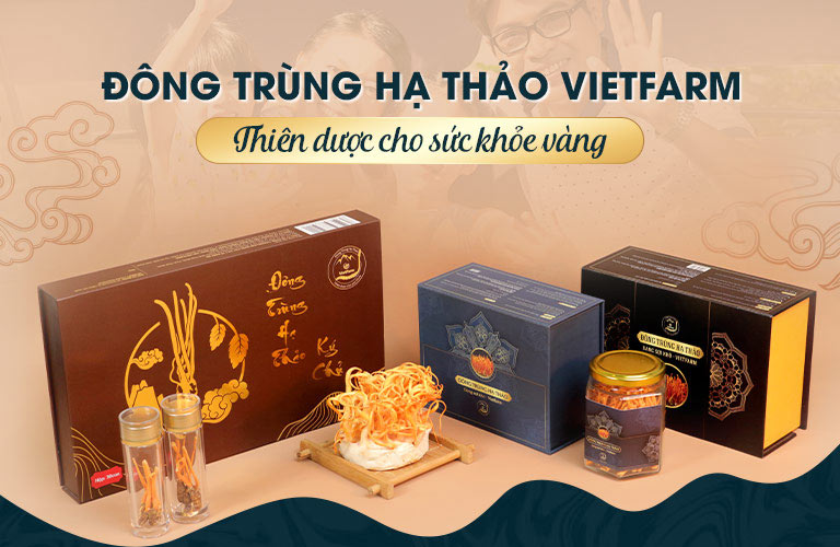 Bộ sản phẩm của Đông trùng hạ thảo Vietfarm đang cung cấp