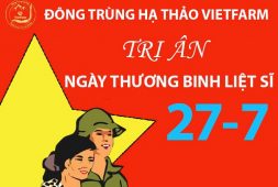 [ƯU ĐÃI 27/7] - Chương Trình Tri Ân Đặc Biệt Nhân Ngày Thương Binh Liệt Sĩ 