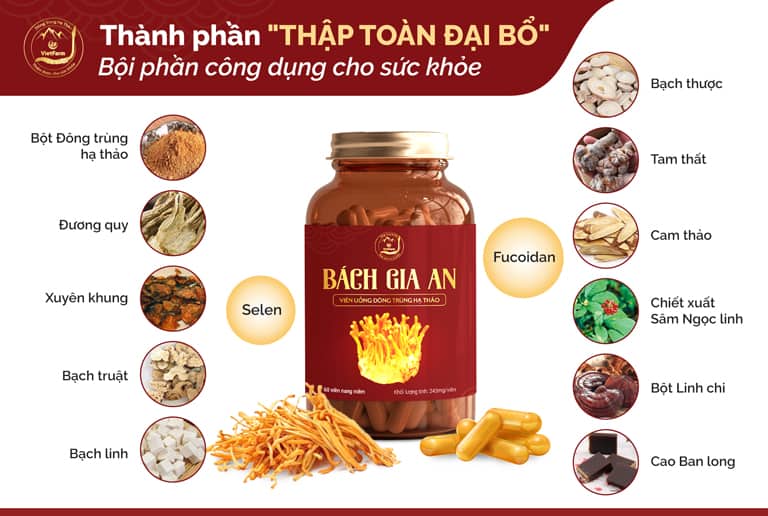 Các thành phần trong viên uống đông trùng hạ thảo Bách Gia An 