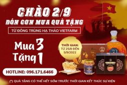 “Vui Tết Độc Lập, Biếu Quà Tình Thân” - Chương Trình Siêu Ưu Đãi Chào 2/9 Từ Đông Trùng Hạ Thảo Vietfarm