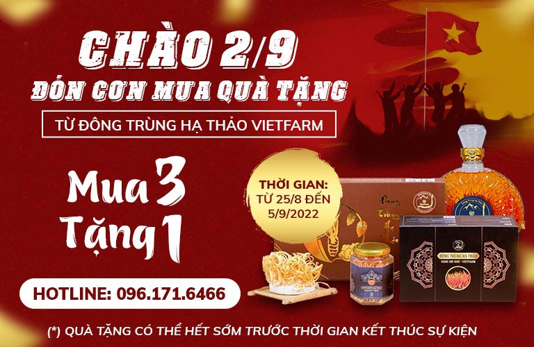 “Vui Tết Độc Lập, Biếu Quà Tình Thân” - Chương Trình Siêu Ưu Đãi Chào 2/9 Từ Đông Trùng Hạ Thảo Vietfarm