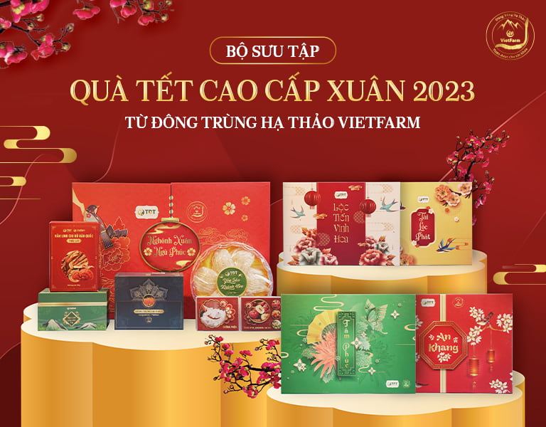 Bộ quà Tết mừng xuân của Đông trùng hạ thảo Vietfarm