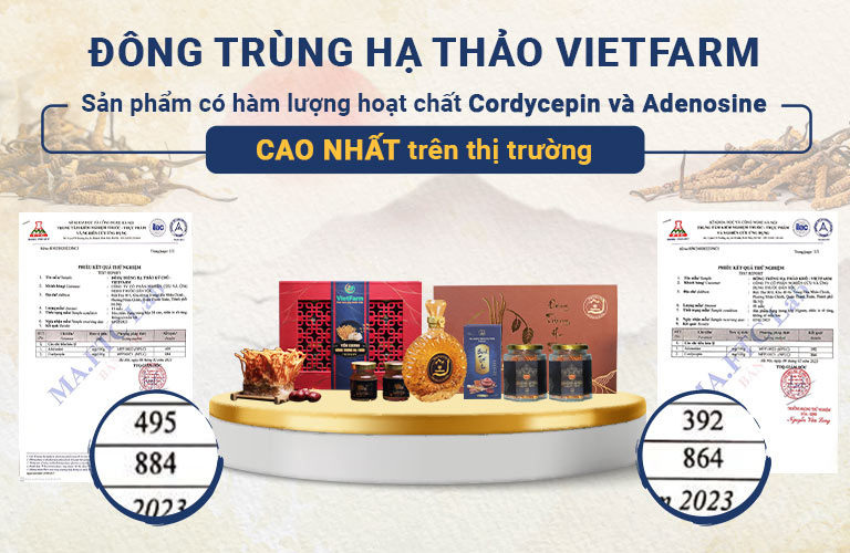 Giấy kiểm định hàm lượng hoạt chất đông trùng hạ thảo Vietfarm