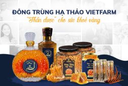 Đông Trùng Hạ Thảo Vietfarm - Hàm Lượng Hoạt Chất Cao Nhất Thị Trường