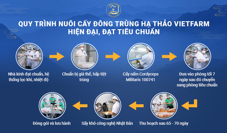 Chuẩn hóa trong quy trình nuôi cấy giúp đông trùng hạ thảo thành phẩm có hàm lượng hoạt chất vượt trội