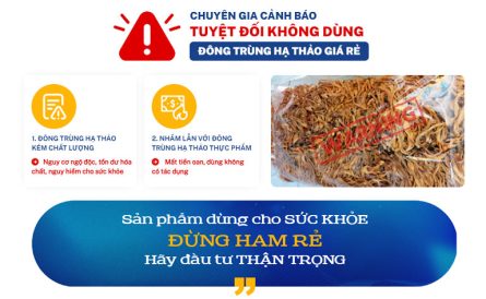 Chuyên giá cảnh báo: Sử dụng đông trùng hạ thảo giá rẻ gây ảnh hưởng xấu đến sức khỏe