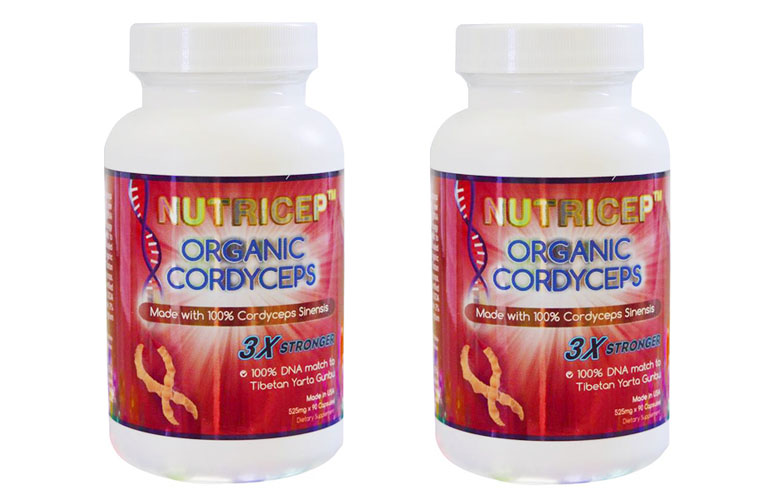 Nutricep Organic Cordyceps có chứa hàm lượng trùng thảo cao