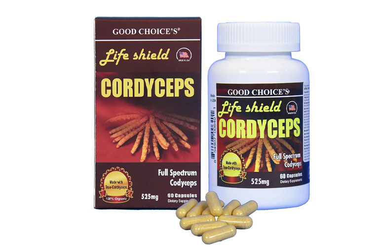 Viên đông trùng hạ thảo của Mỹ Life Shield Cordyceps có giá thành phải chăng