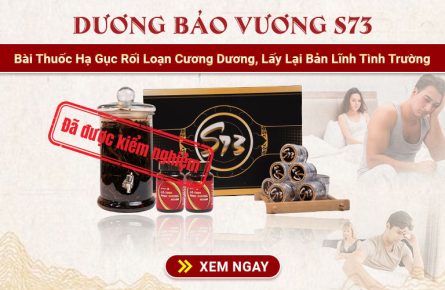 duong-bao-vuong-s73-roi-loan-duong-duong