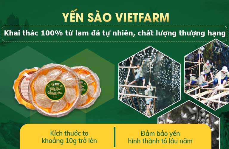 hong-yen-vietfarm-9.jpg