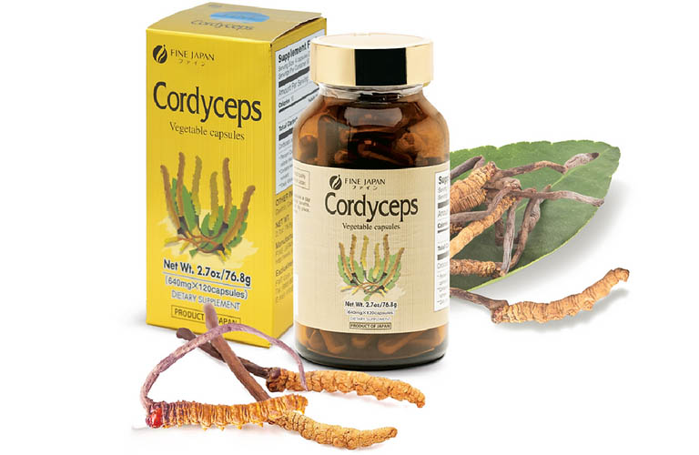 Đông trùng hạ thảo Cordyceps Fine Japan