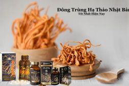 Đông Trùng Hạ Thảo Nhật Bản: 6 Sản Phẩm Nổi Bật Nhất