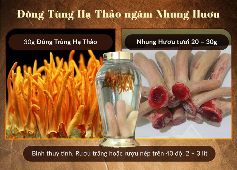 Rượu ngâm đông trùng với nhung hươu rất tốt choc sức khỏe người già