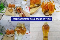 cách ngâm rượu đông trùng hạ thảo