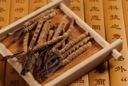 Đông Trùng Hạ Thảo Cordyceps: Những Lợi Ích Và Cách Dùng