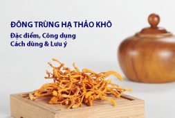 Đông trùng hạ thảo khô